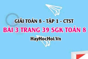 Giải bài 3 trang 39 Toán 8 Tập 1 SGK Chân trời sáng tạo